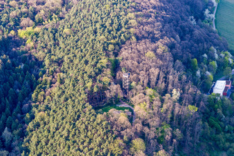 Oblique view of Bismarck Tower in Bad Bergzabern in the state Rhineland-Palatinate, Germany