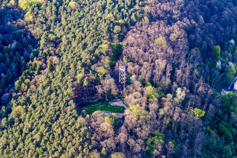 Bismarck Tower in Bad Bergzabern in the state Rhineland-Palatinate, Germany from above