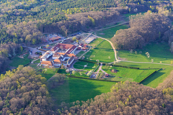 Horse boarding at Liebfrauenberg Monastery in spring in Bad Bergzabern in the state Rhineland-Palatinate, Germany