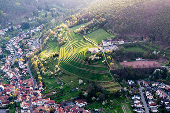 St. Martin, Kropsburg Castle in the district SaintMartin in Sankt Martin in the state Rhineland-Palatinate, Germany