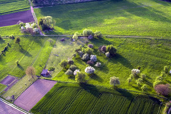 Aerial photograpy of Surbourg in the state Bas-Rhin, France