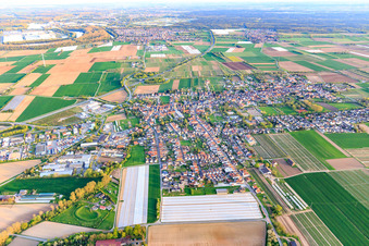 Overview of the town in spring from the west in Schwegenheim in the state Rhineland-Palatinate, Germany