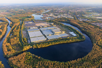 Green Island in the Lingenfeld Altrhein with Mercedes-Benz Global Logistics Center and MOSOLF Logistics & Services GmbH in Germersheim in the state Rhineland-Palatinate, Germany