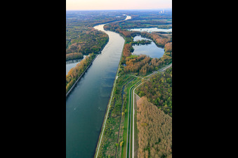 Rhine valley Karlsruhe – Rheinsheim in Linkenheim-Hochstetten in the state Baden-Wuerttemberg, Germany