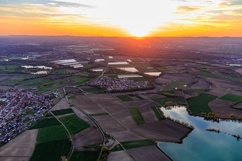 Sunset in the Rhine plain in the district Hardtwald in Neupotz in the state Rhineland-Palatinate, Germany