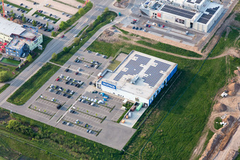 Decathlon in Neustadt an der Weinstraße in the state Rhineland-Palatinate, Germany