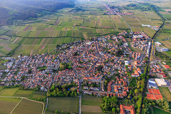 View of the town in spring from the south in Deidesheim in the state Rhineland-Palatinate, Germany