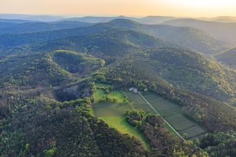 Aerial view of Odinstal winery in a clearing on the heights of the Palatinate Forest in Wachenheim an der Weinstraße in the state Rhineland-Palatinate, Germany