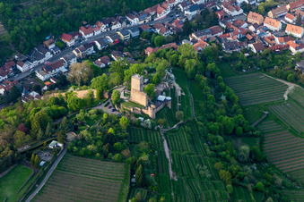 Ruins of the former fortress Wachtenburg ("Burg Wachenheim") in Wachenheim an der Weinstrasse in the state Rhineland-Palatinate, Germany