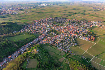 Aerial photograpy of City view from the southeast with Wachtenburg (ruin of Wachenheim Castle) surrounded by rows of vines in Wachenheim an der Weinstraße in the state Rhineland-Palatinate, Germany