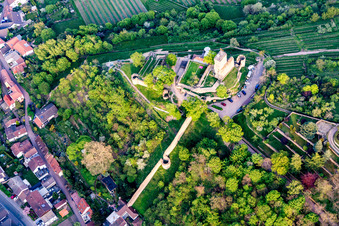 Aerial view of Ruins of the former fortress Wachtenburg ("Burg Wachenheim") in Wachenheim an der Weinstrasse in the state Rhineland-Palatinate, Germany