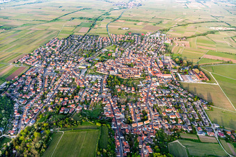 Village view on the edge of agricultural fields and land in Wachenheim an der Weinstrasse in the state Rhineland-Palatinate, Germany