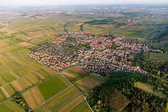 Aerial view of Village view on the edge of agricultural fields and land in Wachenheim an der Weinstrasse in the state Rhineland-Palatinate, Germany