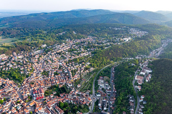 Four annual pages of winemakers in the district Seebach in Bad Dürkheim in the state Rhineland-Palatinate, Germany