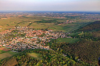 City view from the north with Wachtenburg (ruins of Wachenheim Castle) in Wachenheim an der Weinstraße in the state Rhineland-Palatinate, Germany