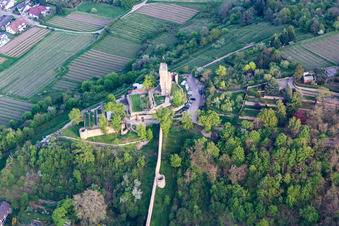 Aerial photograpy of Ruins of the former fortress Wachtenburg ("Burg Wachenheim") in Wachenheim an der Weinstrasse in the state Rhineland-Palatinate, Germany