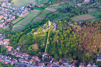 Aerial photograpy of Defensive wall of the Wachtenburg (ruin of "Wachenheim Castle") in Wachenheim an der Weinstraße in the state Rhineland-Palatinate, Germany