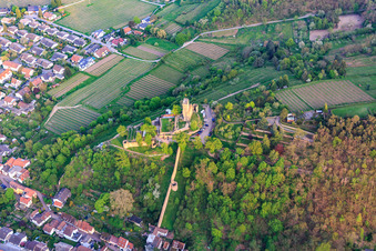 Oblique view of Defensive wall of the Wachtenburg (ruin of "Wachenheim Castle") in Wachenheim an der Weinstraße in the state Rhineland-Palatinate, Germany
