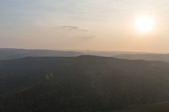 Weinbiet in the district Haardt in Neustadt an der Weinstraße in the state Rhineland-Palatinate, Germany