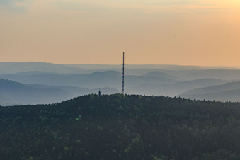 Transmission mast on the Weinbiet in the district Haardt in Neustadt an der Weinstraße in the state Rhineland-Palatinate, Germany
