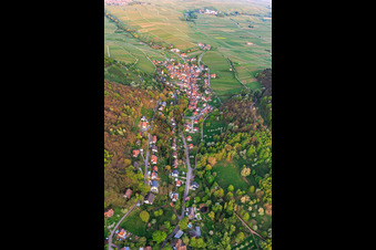 Aerial view of Trifelsstraße and Slevogtstraße from the west in Leinsweiler in the state Rhineland-Palatinate, Germany
