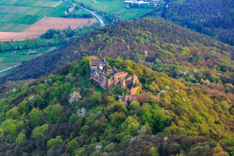 Aerial view of Madenburg castle ruins on an autumnally colored mountain in the Palatinate Forest from the north in Eschbach in the state Rhineland-Palatinate, Germany