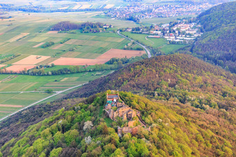 Aerial photograpy of Madenburg castle ruins on an autumnally colored mountain in the Palatinate Forest from the north in Eschbach in the state Rhineland-Palatinate, Germany