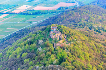 Oblique view of Madenburg castle ruins on an autumnally colored mountain in the Palatinate Forest from the north in Eschbach in the state Rhineland-Palatinate, Germany
