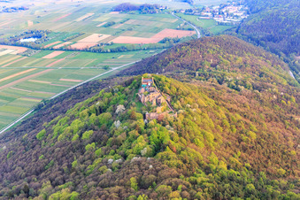 Madenburg castle ruins on an autumnally colored mountain in the Palatinate Forest from the north in Eschbach in the state Rhineland-Palatinate, Germany from above