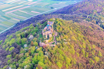 Madenburg castle ruins on an autumnally colored mountain in the Palatinate Forest from the north in Eschbach in the state Rhineland-Palatinate, Germany out of the air