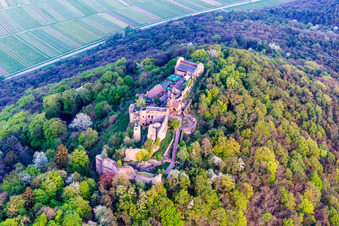 Ruins and vestiges of the former fortress Madenburg in spring in Eschbach in the state Rhineland-Palatinate, Germany