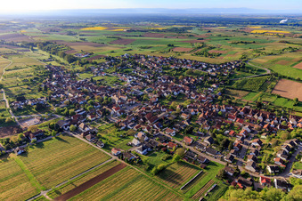 Aerial view of Wine-growing village on the German Wine Route from the northwest in Oberotterbach in the state Rhineland-Palatinate, Germany