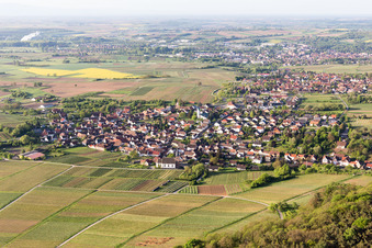 District Rechtenbach in Schweigen-Rechtenbach in the state Rhineland-Palatinate, Germany from the drone perspective