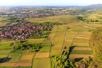 Sonnenberg vineyard partly on French territory in the district Schweigen in Schweigen-Rechtenbach in the state Rhineland-Palatinate, Germany