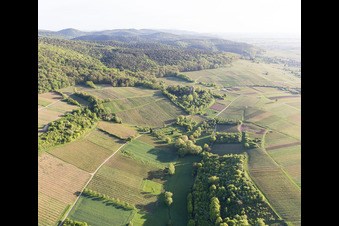 Sonnenberg vineyard in Wissembourg in the state Bas-Rhin, France out of the air