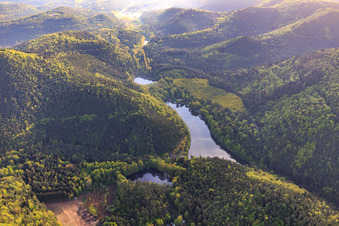 Aerial view of Seehof-Weiher / Portzbach with kiosk in Erlenbach bei Dahn in the state Rhineland-Palatinate, Germany