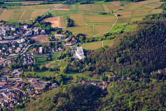 Kurpark Bad Bergzabern and Edith Stein Clinic - Clinic for Orthopaedics from Norden in Bad Bergzabern in the state Rhineland-Palatinate, Germany