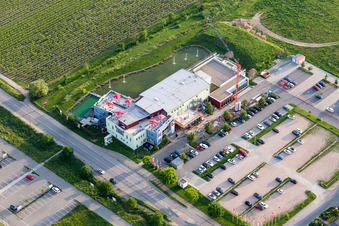 Neustadt an der Weinstraße in the state Rhineland-Palatinate, Germany from the plane