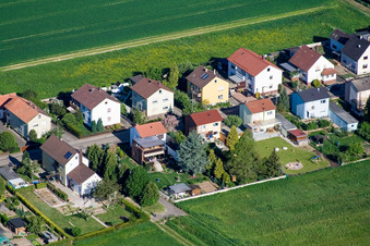 Wattstr in Freckenfeld in the state Rhineland-Palatinate, Germany from above