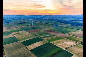 Wind farm Minfeld in Minfeld in the state Rhineland-Palatinate, Germany