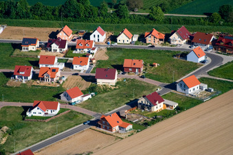 At the Anhaide in the district Schaidt in Wörth am Rhein in the state Rhineland-Palatinate, Germany