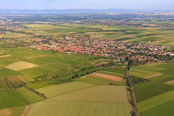View of the town from the northwest in the district Pfeddersheim in Worms in the state Rhineland-Palatinate, Germany