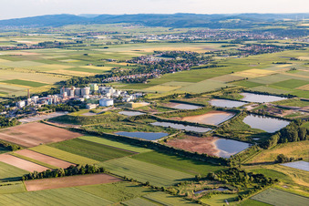 Sewage works Basin for waste water treatment of sugar factory Suedzucker AG in Obrigheim (Pfalz) in the state Rhineland-Palatinate, Germany