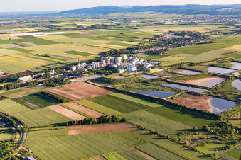 Aerial view of Sewage works Basin for waste water treatment of sugar factory Suedzucker AG in Obrigheim (Pfalz) in the state Rhineland-Palatinate, Germany
