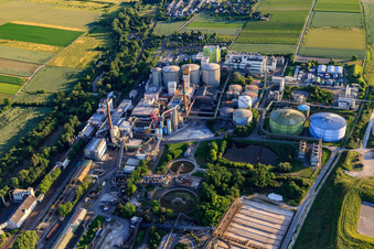 Südzucker AG in Obrigheim in the state Rhineland-Palatinate, Germany from above