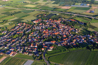View of the town from the northwest in Laumersheim in the state Rhineland-Palatinate, Germany