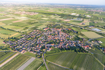 Agricultural land and field borders surround the settlement area of the village in Laumersheim in the state Rhineland-Palatinate, Germany