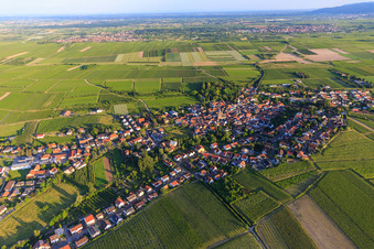 View from the north in Großkarlbach in the state Rhineland-Palatinate, Germany