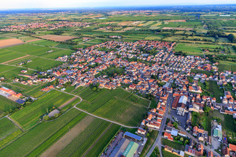 View of the town from the northwest in Niederkirchen bei Deidesheim in the state Rhineland-Palatinate, Germany