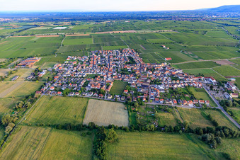 View of the town from the north in Ruppertsberg in the state Rhineland-Palatinate, Germany
